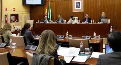 De Torres presenta en el Parlamento la memoria de la fiscalía, este viernes.