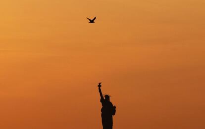 Un pájaro sobrevuela sobre la estatua de la libertad durante la puesta de sol en Nueva York.