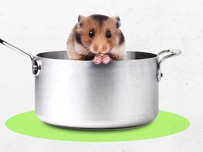 ¿Un hámster es un ingrediente?