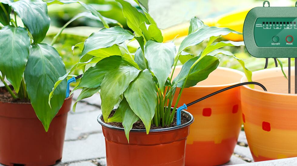 Sistema de riego por goteo solar con temporizador de frecuencia y tiempo de uso.