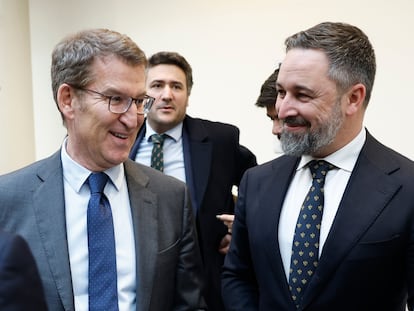 Borja Sémper, Alberto Núñez Feijóo y Santiago Abascal, este martes en el Senado.