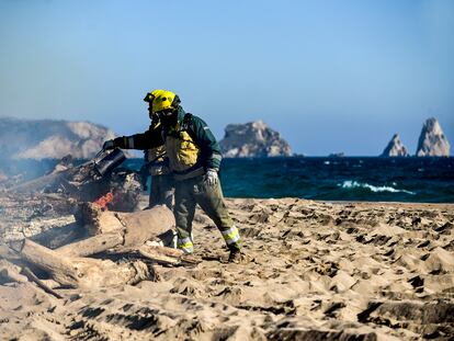 Dos técnicos del Grupo Especial de Prevención de Incendios Forestales queman troncos acumulados por el temporal en la desembocadura del río Ter.