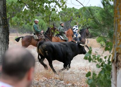 El Ayuntamiento de Tordesillas ha explicado que tres personas han lanceado al toro, aunque la norma prevé que quien da la primera lanzada es el que tiene que continuar hasta darle muerte.