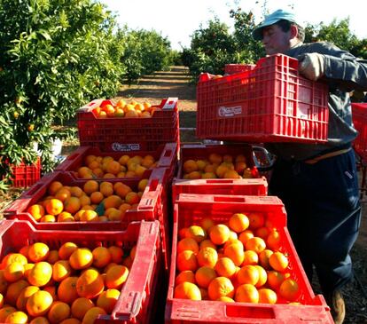 Un agricultor recoge la cosecha.