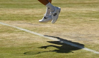 David Ferrer, en su partido contra Berdych.