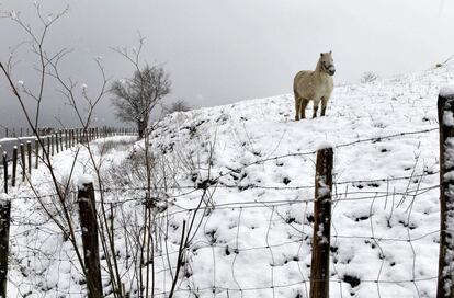 La nieve cubre a primera hora de la mañana el barrio donostiarra de Igeldo.