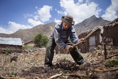 Serapio, el incansable. Perú.