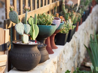 Uno de los rincones de la colección de la Casa Rural Melones.