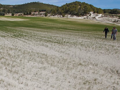 Agricultores de la zona recorren un campo casi yermo por los efectos devastadores que la sequía y el calor, el viernes, en Alcoy (Alicante).