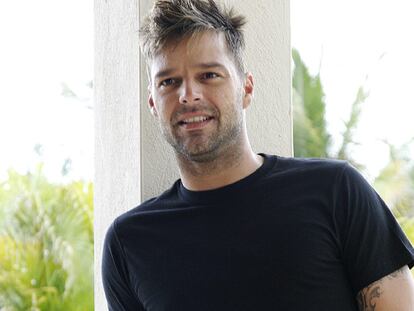El cantante Ricky Martin, en una foto promocional.