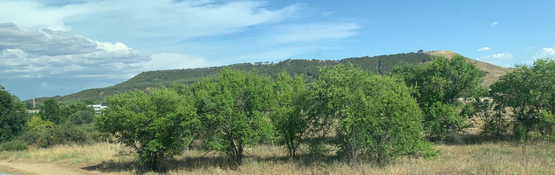Al fondo, erro de San Juan del Viso donde se halla la vieja Complutum.