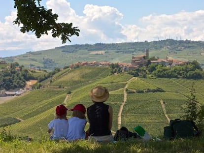 Panorámica de los viñedos de Langhe, en la región del Piamonte (Italia), con el pueblo de Castiglione Falletto al fondo.