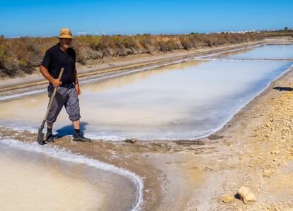 Demetrio Berenguer, uno de los veteranos maestros salineros de las salinas de Cádiz.