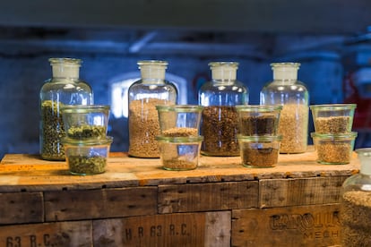Exposición de ingredientes con los que elaboran cerveza en la fábrica de Het Anker.