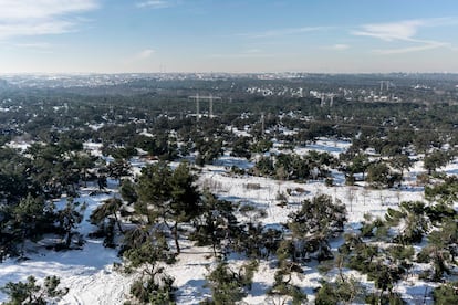 Vista de la Casa de Campo de Madrid tras el temporal 'Filomena'.