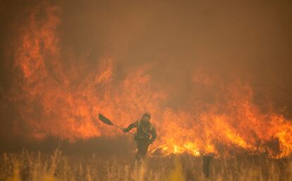 Incendio en la Sierra Culebra en junio de 2022.