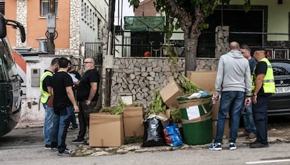 Agents vigilen la marihuana requisada.