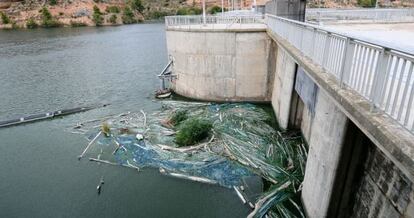 contaminación del pantano de Riba-roja.