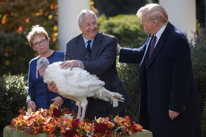 El presidente estadounidense, Donald Trump y el presidente de la Federación Nacional del Pavo, Jeff Sveen  participan en el acto de perdón por Acción de Gracias en la Casa Blanca.