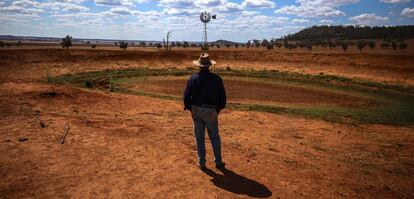 Un granjero ante una poza seca en Goolhi, Australia.