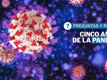 Programa especial | Preguntas y respuestas sobre la covid