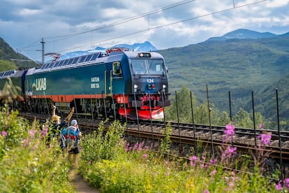 Un tramo de la Nordlandsruta que se cruza con el paso de un tren, cerca de Narvik.