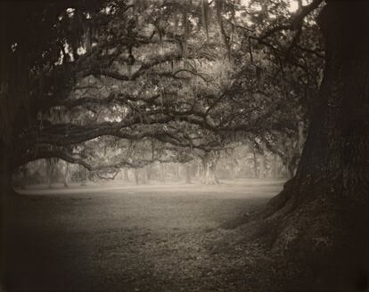 Deep South, Untitled (Fontainebleau), 1998