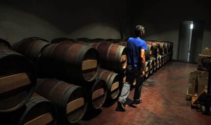 Bodegas Tinedo, en Socuéllamos (Ciudad Real)