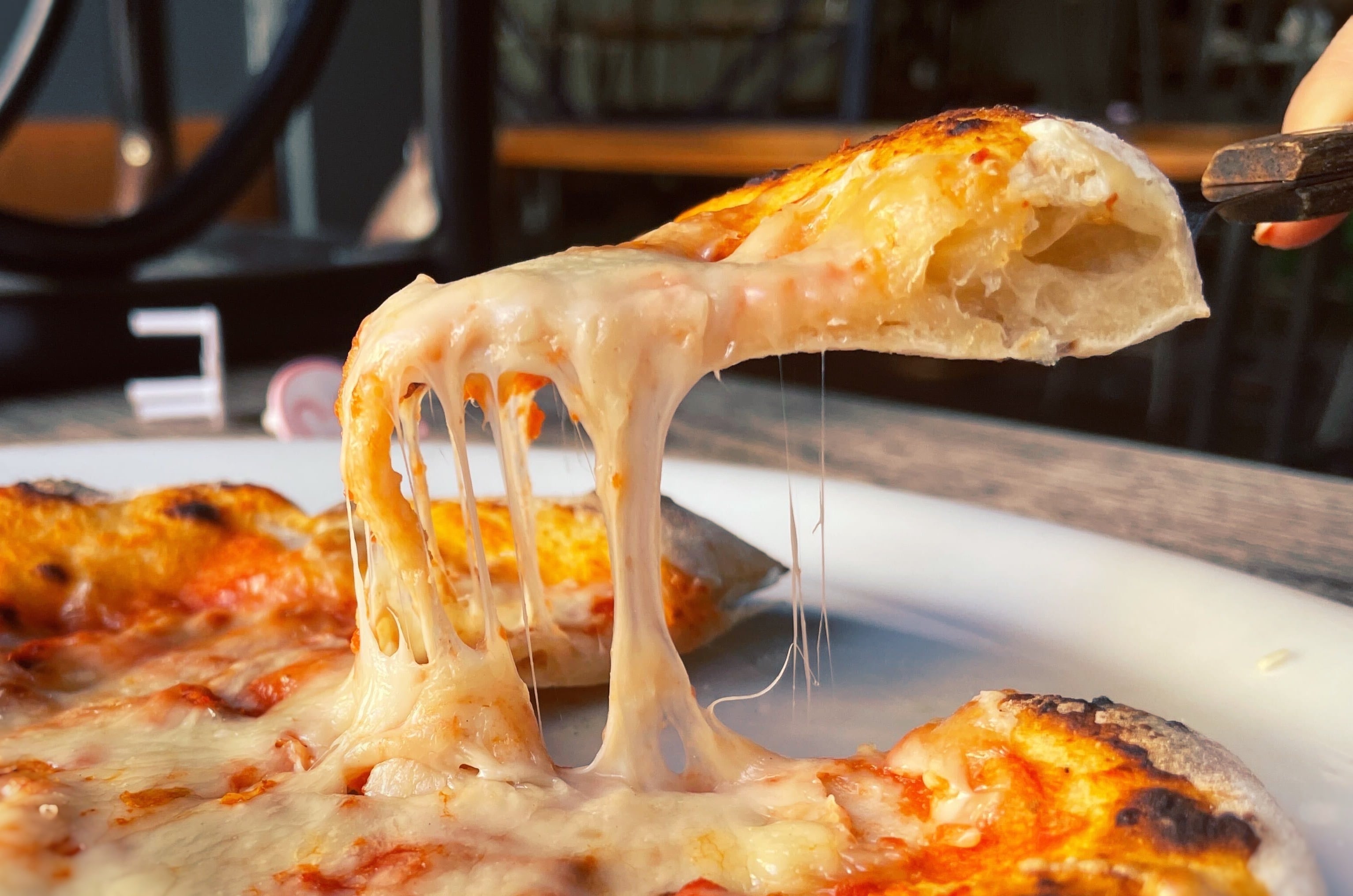 De las vaquerías a las bacterias: ¿se puede hacer un queso sin leche?