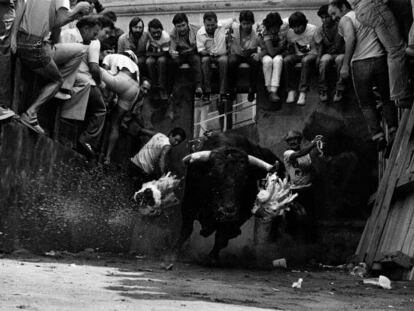 Suelta del toro en un festejo en Coria (Cáceres) en 1981.