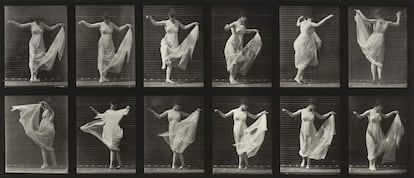 Imagen número 187 del libro 'Animal Locomotion' (1887), de Eadweard Muybridge.