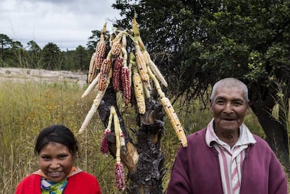 Un fotograma de 'Sunú'.