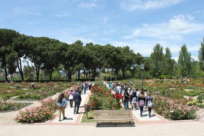 Decenas de personas miran las rosas en flor en la rosaleda del parque del Oeste.