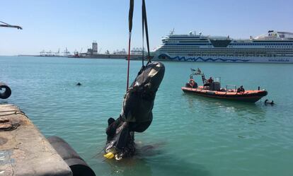 Extracción de los restos del cachalote del puerto de Valencia.