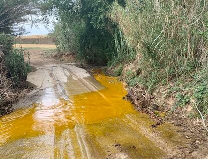 El vertido de aceite que ha afectado este sábado a la riera Seca, en Santa Perpètua de Mogoda.