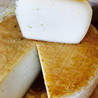 Queso tierno de cabra, pasta prensada. Quesería Lácteas Argudo