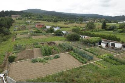 Vista del área donde se proyecta el polígono industrial de Elorrio, con los cultivos de agricultura ecológica en primer plano.