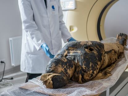 La primera momia egipcia embarazada de la que se tiene constancia, durante la investigación