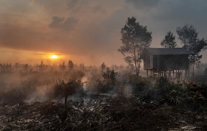 El humo se eleva durante los incendios de bosques y plantaciones en Tanjung Taruna, subdistrito de Jabiren Raya, en  Kalimantan Central, Indonesia.