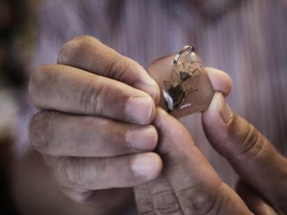 Un llavero con el chinche del Chagas convertido en souvenirs para los turistas.