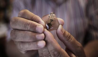 Un llavero con el chinche del Chagas convertido en souvenirs para los turistas.