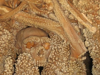 Imatge invertida de l'home d'Altamura. A la cova, el crani està de cap per amunt.