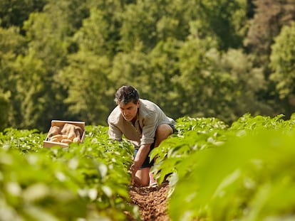 La agricultura regenerativa es la clave para proteger los suelos.