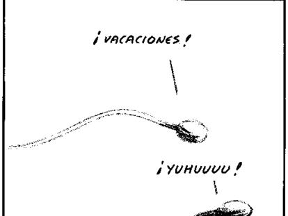 EL ROTO