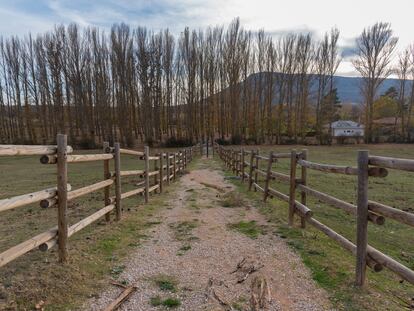 Un camino en Valonsadero (Soria).