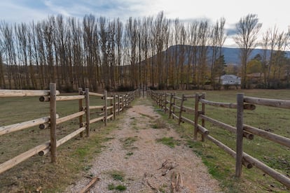 Un camino en Valonsadero (Soria).