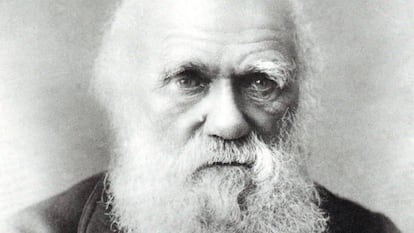 Reatrato de Charles Darwin.