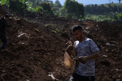 Un hombre camina entre los escombros de tierra, cargando un ganso, en Antioquia.