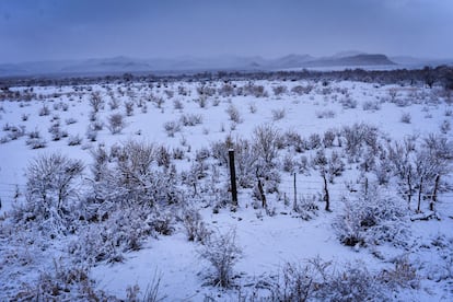 La segunda tormenta invernal y el frente frío número 23 han provocado intensas nevadas y un descenso en la temperatura de hasta -15°C en zonas montañosas de los Estados de Chihuahua y Durango.