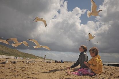 Varias Gaviota argénteas europeas, <i>Larus argentatus,</i> sobrevolando unos niños en una playa en Dordretch, Holanda.